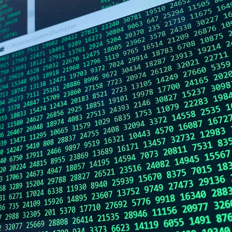 pexels-photo-9951077-1